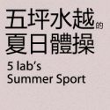 5 lab's summer sport