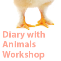Diary With Animals Workshop